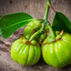 Illustration for article titled Fat Loss And Garcinia Cambogiaem/em
